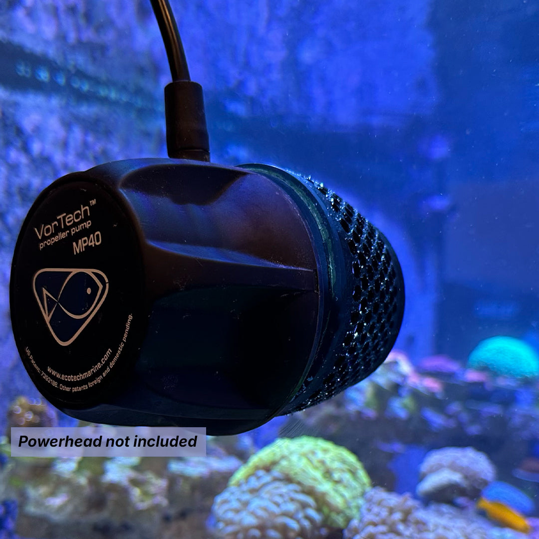 Anemone guard compaible with EcoTech MP40 VorTech Wavemaker